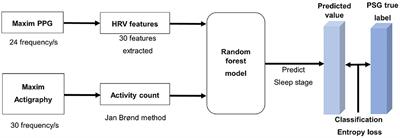 Automation of classification of sleep stages and estimation of sleep efficiency using actigraphy